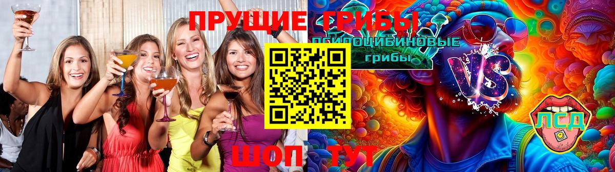Конопля Нововоронеж