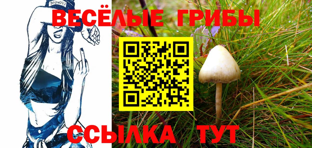 Псилоцибиновые грибы Psilocybine cubensis  где купить наркотик  Нововоронеж  Вход с VPN 